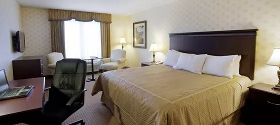 Comfort Inn & Suites Saint-Nicolas | Quebec - Quebec (ve civarı) - Levis - Saint-Nicolas