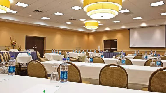 Holiday Inn Chicago - Elk Grove | İllinois - Elk Grove Village