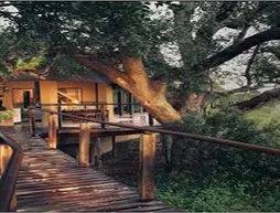 The River Lodge At Thornybush | Limpopo - Maruleng - Hoedspruit