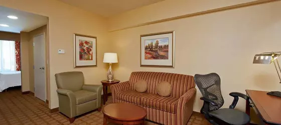 Hilton Garden Inn Indianapolis Airport | Indiana - Indianapolis (ve civarı) - Indianapolis