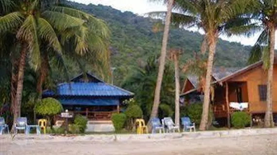 Bird Bungalow | Surat Thani (vilayet) - Koh Phangan