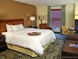 HAMPTON INN & SUITES AUSTIN-DOWNTOWN/CONVENTION CENTER | Teksas - Austin (ve civarı) - Austin - Downtown Austin