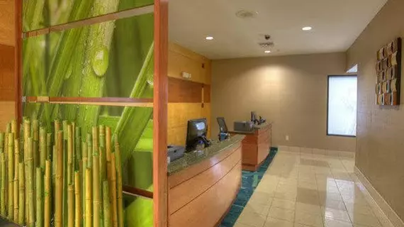 SpringHill Suites by Marriott - Tampa Brandon | Florida - Tampa (ve civarı) - Tampa