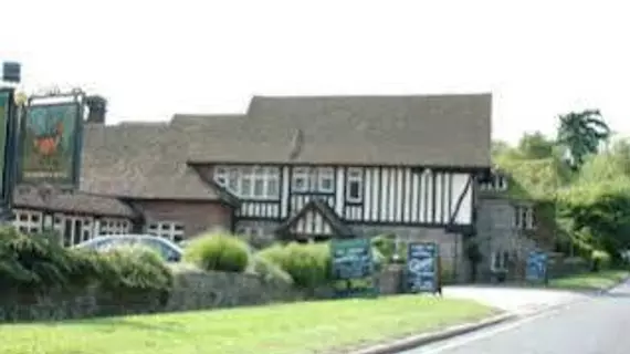 Roebuck | Doğu Sussex (kontluk) - Wadhurst - High Weald