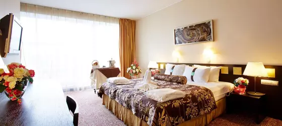 Holiday Inn Chelyabinsk-Riverside | Çelyabinsk Oblastı - Chelyabinsk