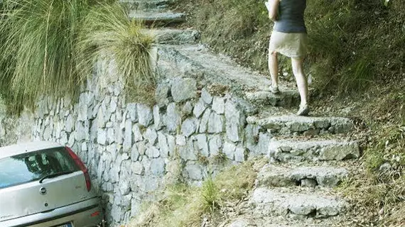 Colle dell'Ara | Campania - Salerno (il) - Positano