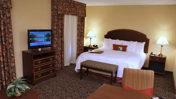 Hampton Inn & Suites Mobile - Downtown Historic District | Alabama - Mobile (ve civarı) - Mobile