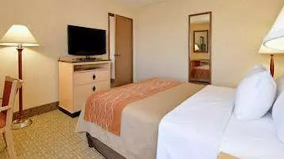 Comfort Inn | Kolorado - Denver (ve civarı) - Aurora