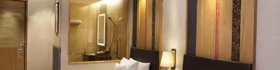 Holiday Inn New Delhi Mayur Vihar Noida | Batı Delhi - Ulusal Eyalet Başkenti Delhi - Delhi (ve civarı) - Yeni Delhi