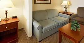 Holiday Inn Express Hotel & Suites Mansfield | Teksas - Fort Worth (ve civarı) - Mansfield