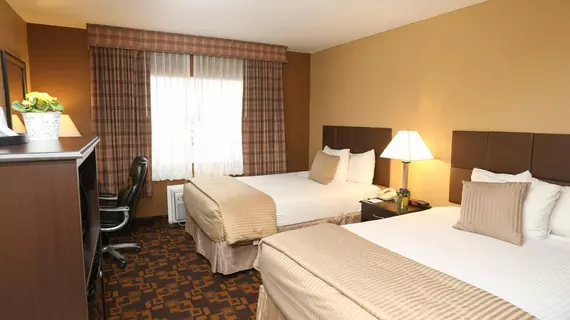 Quality Inn and Suites Denver Stapleton | Kolorado - Denver (ve civarı) - Denver - Northeast Park Hill