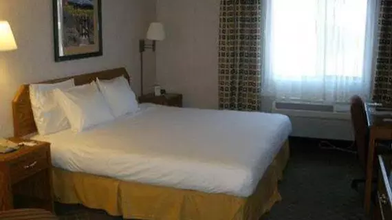 Comfort Inn & Suites Los Alamos | New Mexico - Santa Fe (ve civarı) - Los Alamos