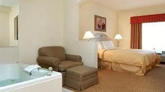 COMFORT SUITES AIRPORT | Louisiana - New Orleans (ve civarı) - Kenner - Kenner - Louis Armstrong Uluslararası Havalimanı