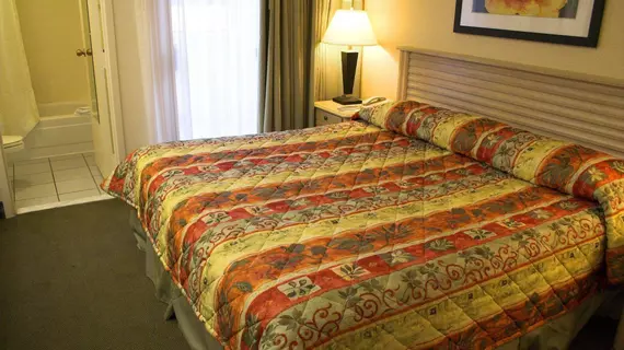 Baymont Inn & Suites Tampa Near Busch Gardens | Florida - Tampa (ve civarı) - Tampa