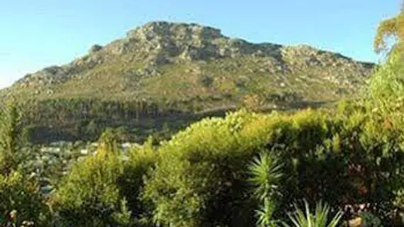 Poplar Tree Lodge | Western Cape (il) - West Coast DC - Drakenstein - Cape Town (ve civarı) - Cape Town - Hout Bay