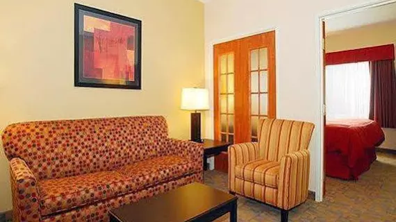 Comfort Suites Denver Tech Center/Englewood | Kolorado - Denver (ve civarı) - Englewood