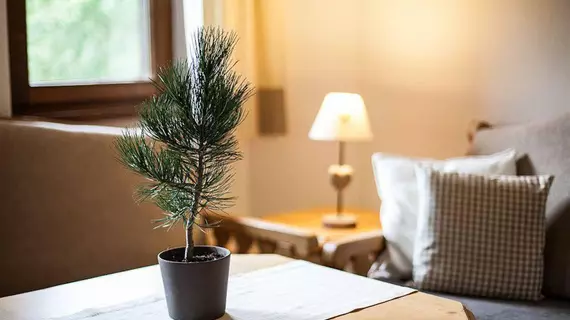 Natur Residenz Anger Alm | Tirol - Imst (ve civarı) - Sankt Leonhard im Pitztal