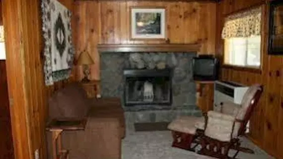 Quail Cove Lakeside Lodge | Kaliforniya - San Bernardino County - Big Bear Gölü (ve civarı) - Fawnskin