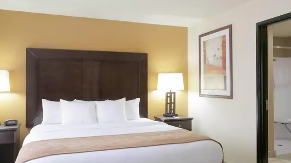 Comfort Suites North Pflugerville | Teksas - Austin (ve civarı) - Pflugerville