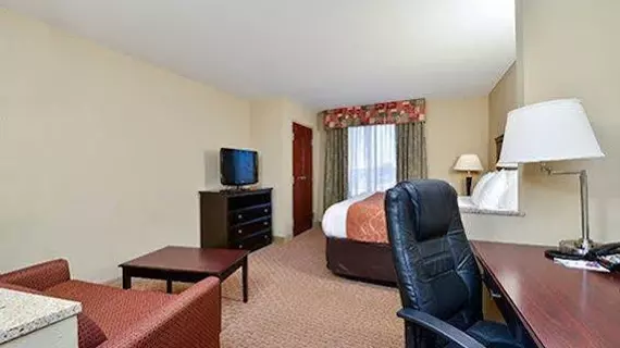 Comfort Suites Mobile | Alabama - Mobile (ve civarı) - Mobile