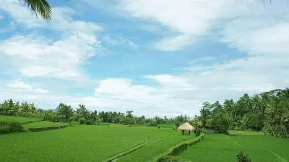 Kenanga Boutique Hotel | Bali - Ubud - Kedewatan