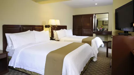 Holiday Inn Hotel & Suites Mexico Zona Rosa | Mexico City (ve civarı) - Meksiko - Cuauhtemoc