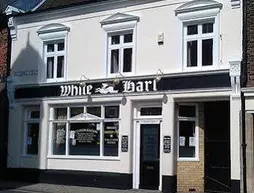 The White Hart | Norfolk (kontluk) - Breckland District - King's Lynn