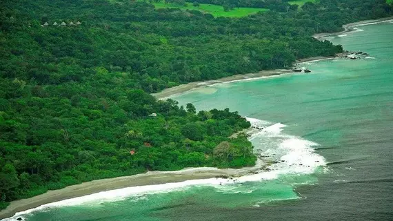 Lapa Rios Eco Lodge | Puntarenas (ili) - Puerto Jimenez