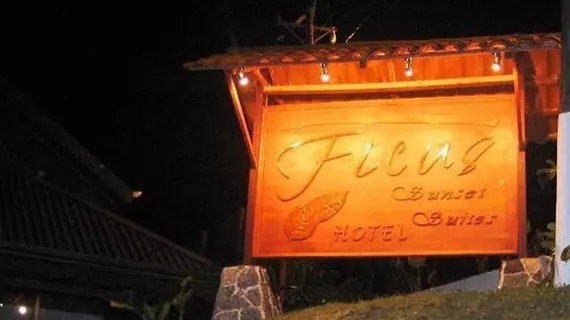 Hotel Ficus | Puntarenas (ili) - Monteverde