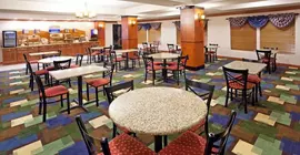 Holiday Inn Express and Suites Lafayette East | Indiana - Lafayette (ve civarı) - Lafayette