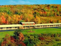 Ladd Brook Inn | Vermont - Bennington (ve civarı) - Pownal