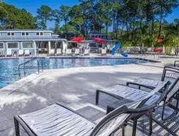 Ramblers Rest RV Campground | Florida - Sarasota (ve civarı) - Venice