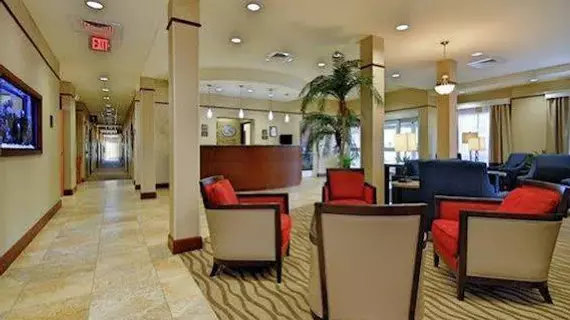 Comfort Suites Sarasota | Florida - Sarasota (ve civarı) - Sarasota - Bee Ridge