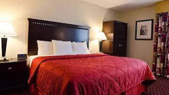 Comfort Inn Annapolis | Maryland - Annapolis (ve civarı) - Annapolis