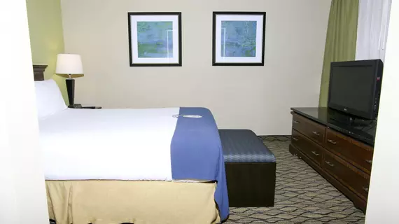 Holiday Inn Express Hotel & Suites Roseville | Michigan - Detroit (ve civarı) - Roseville