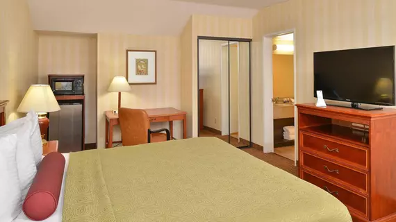 BEST WESTERN PLUS Raffles Inn and Suites | Kaliforniya - Orange County - Anaheim - Anaheim Resort