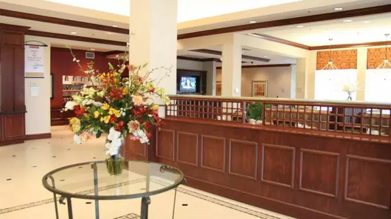 Hilton Garden Inn Indianapolis Airport | Indiana - Indianapolis (ve civarı) - Indianapolis