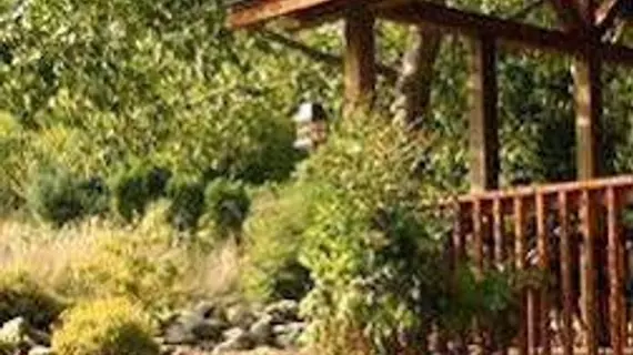 Carson Ridge Luxury Cabins | Washington - Carson