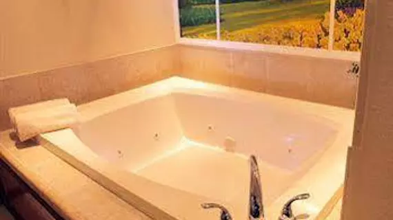 Sybaris Pool Suites Indianapolis | Indiana - Indianapolis (ve civarı) - Indianapolis