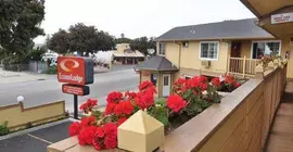 Econo Lodge Morro Bay | Kaliforniya - San Luis Obispo (ve civarı) - Morro Bay