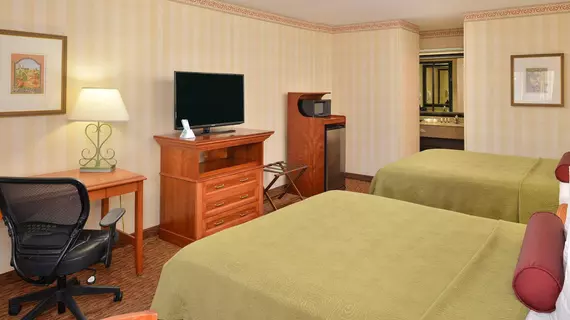 BEST WESTERN PLUS Raffles Inn and Suites | Kaliforniya - Orange County - Anaheim - Anaheim Resort