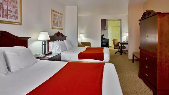 Holiday Inn Express Hotel & Suites Tampa Stadium-Airport | Florida - Tampa (ve civarı) - Tampa