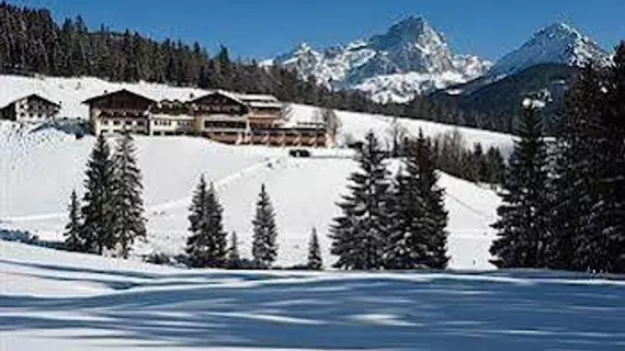 Hotel Neubergerhof | Salzburg (eyalet) - Sankt Johann im Pongau - Filzmoos