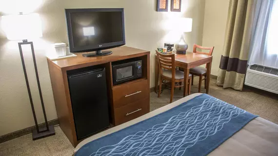 Comfort Inn Gurnee | İllinois - Gurnee