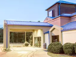 Sleep Inn at Six Flags | Georgia - Atlanta (ve civarı) - Austell