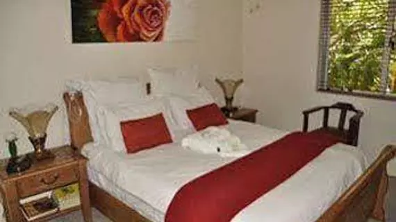 Cranes Nest Guest House @ 313 | Gauteng - City of Tshwane - Johannesburg (ve civarı) - Pretoria