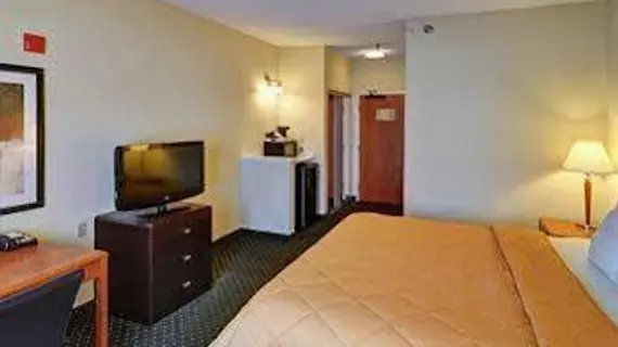 Comfort Inn DFW Airport North | Teksas - Dallas (ve civarı) - Irving