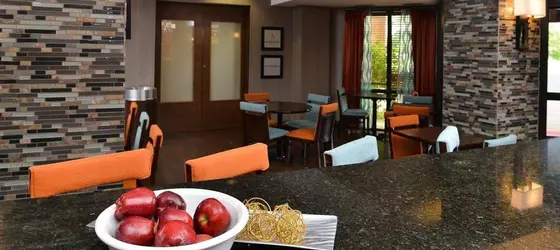 Hampton Inn Chicago-Carol Stream | İllinois - Carol Stream