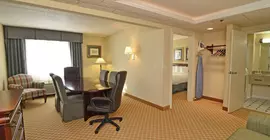 Holiday Inn Bloomington W MSP Airport Area | Minnesota - Minneapolis - St. Paul (ve civarı) - Bloomington