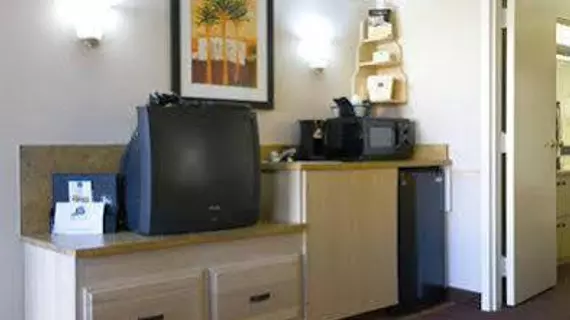 Baymont Inn & Suites Tampa Near Busch Gardens | Florida - Tampa (ve civarı) - Tampa